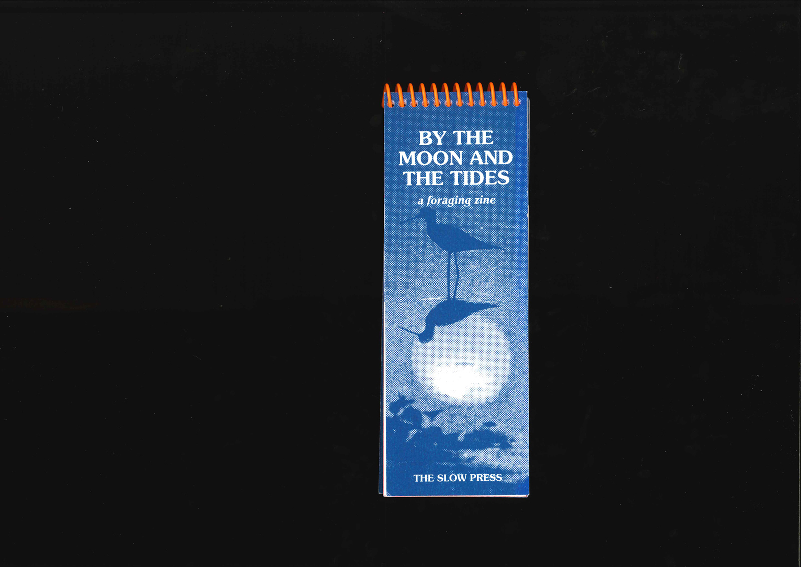 Front cover of By The Moon and The Tides.